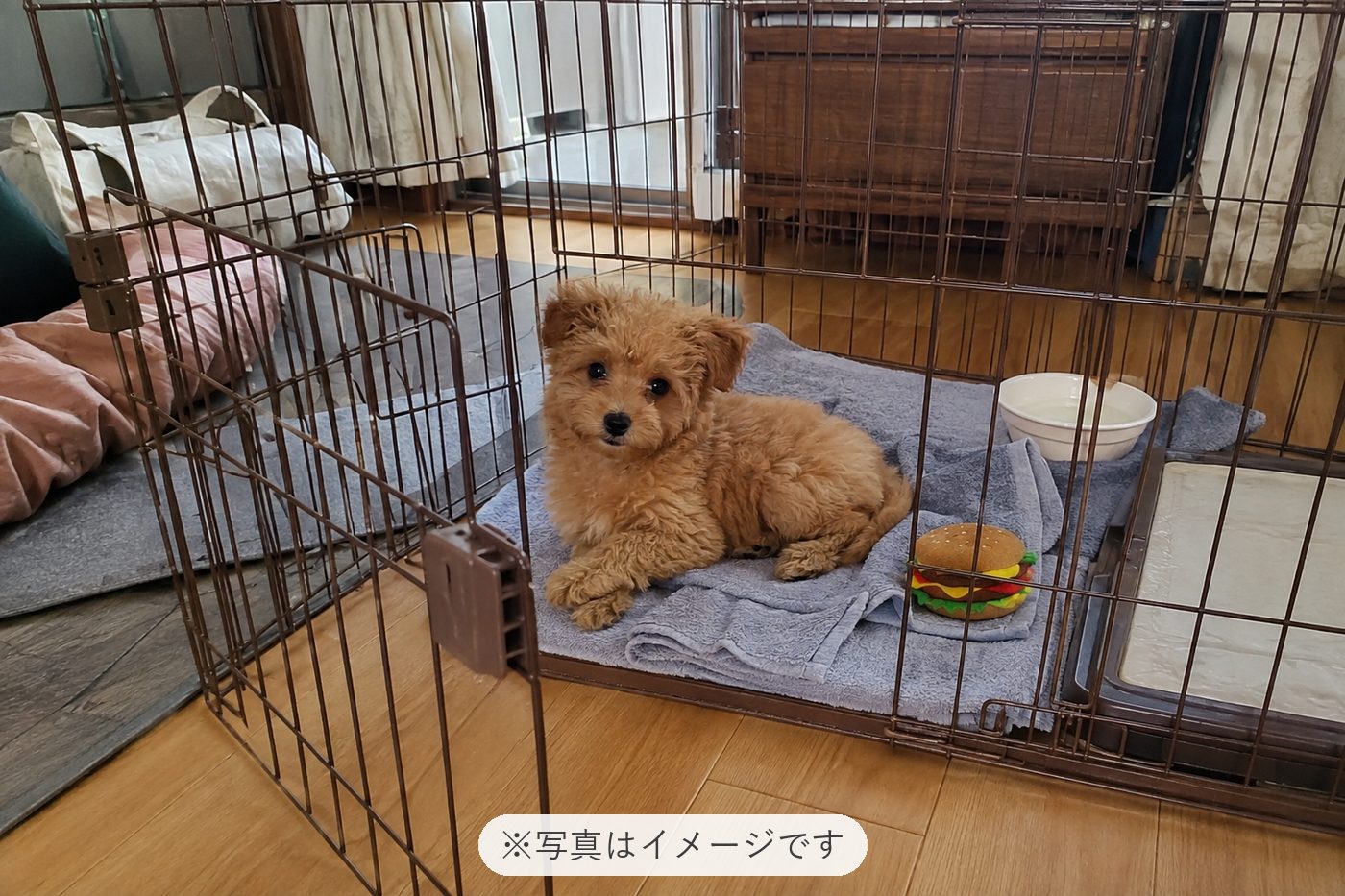 先日はありがとうございました