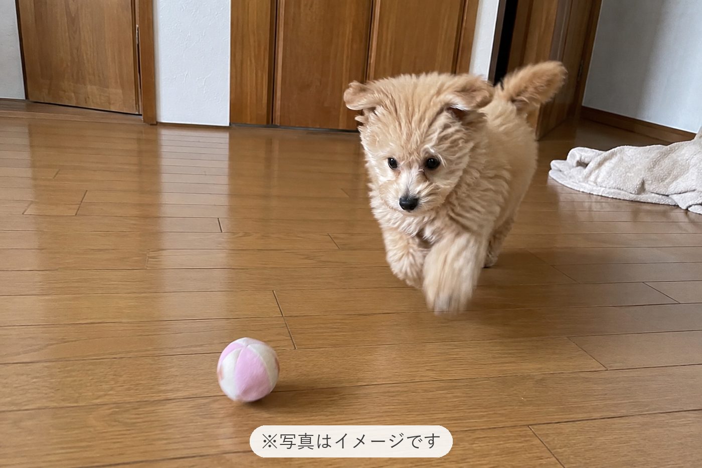 おはようございます