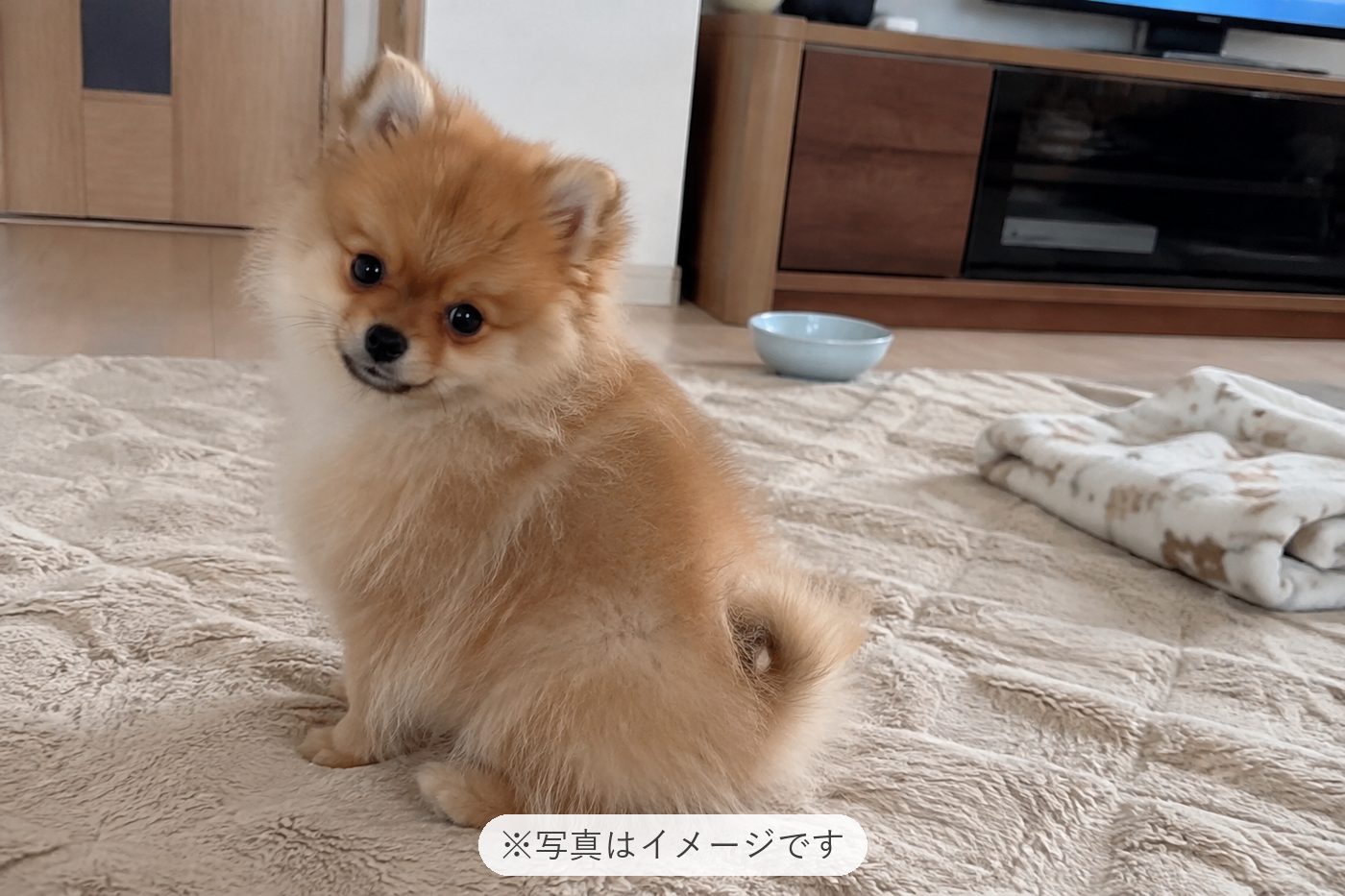 とぉぉーっても可愛いです♡
