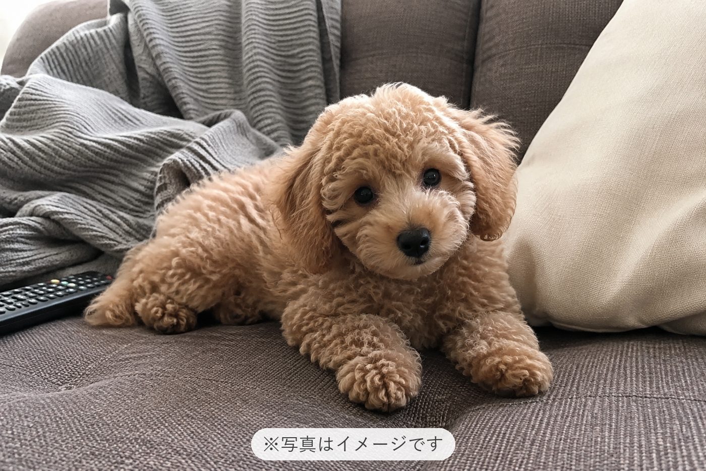 大事に育てていただき有難う御座います