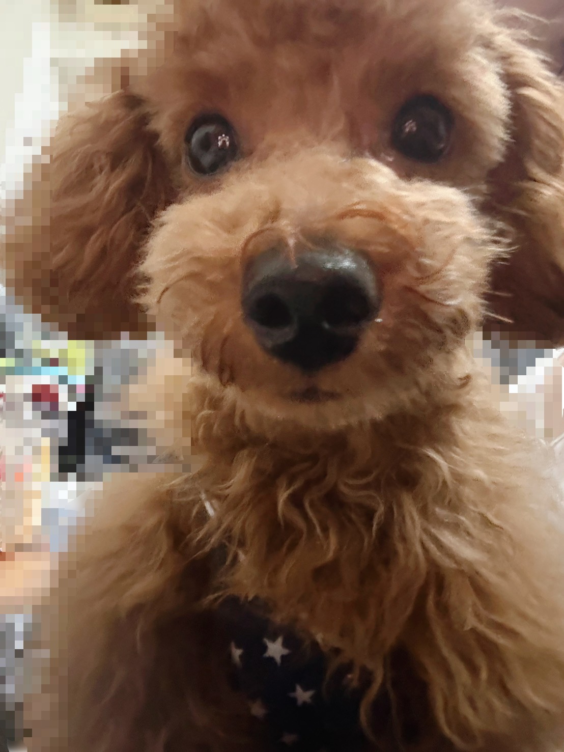 毎日の生活が以前より大変ではありますが、楽しく過ごさせてい…