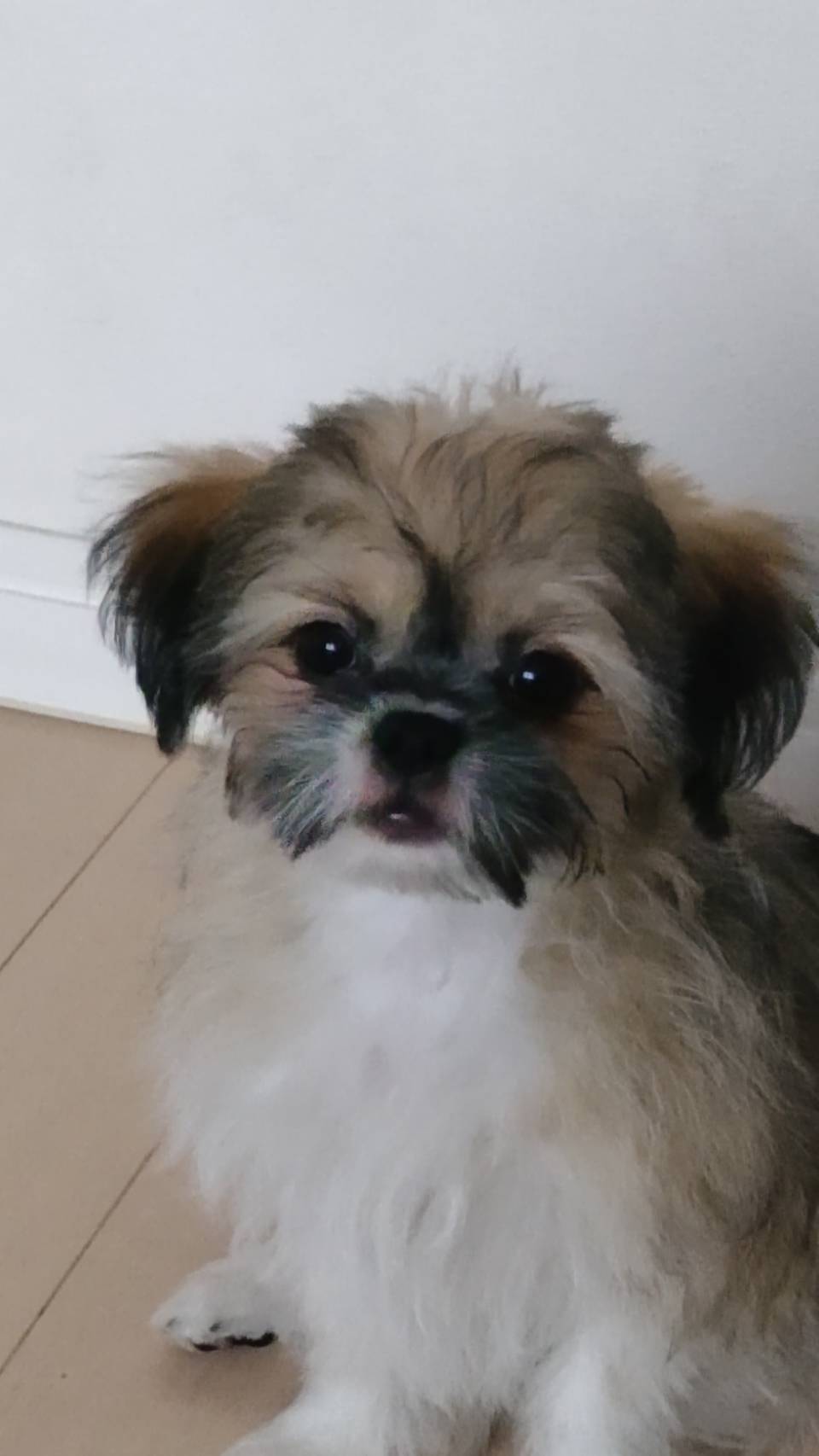 毎日癒されてます