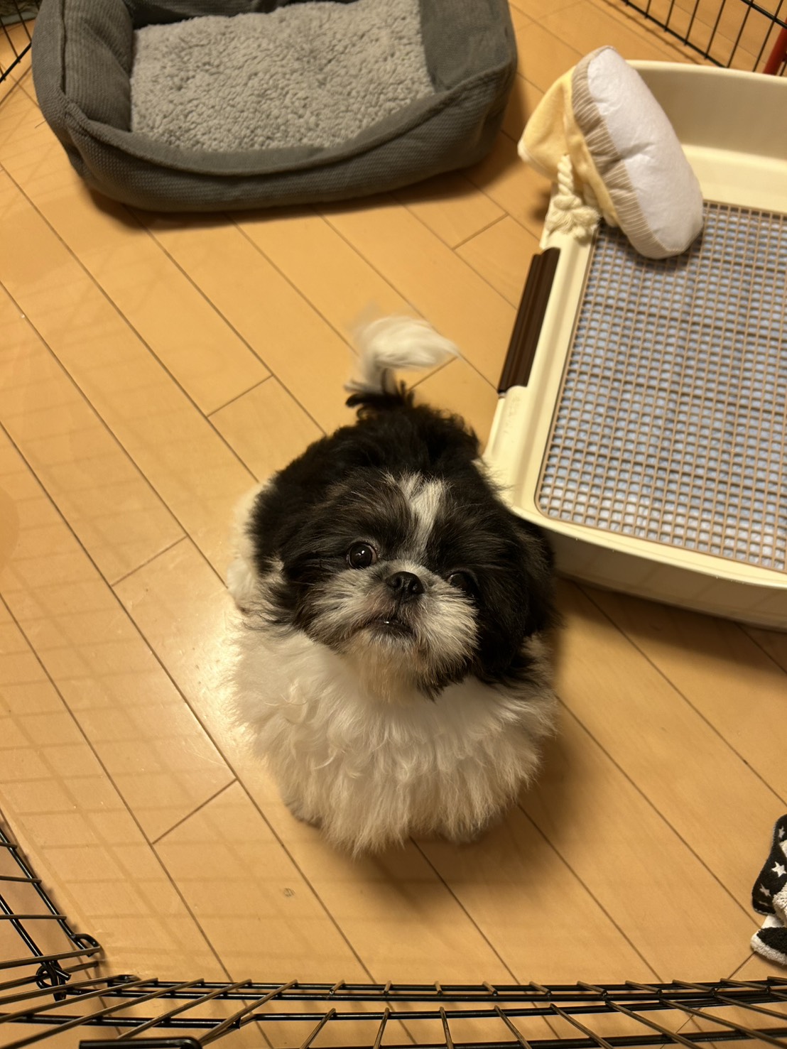 毎日とても幸せです
