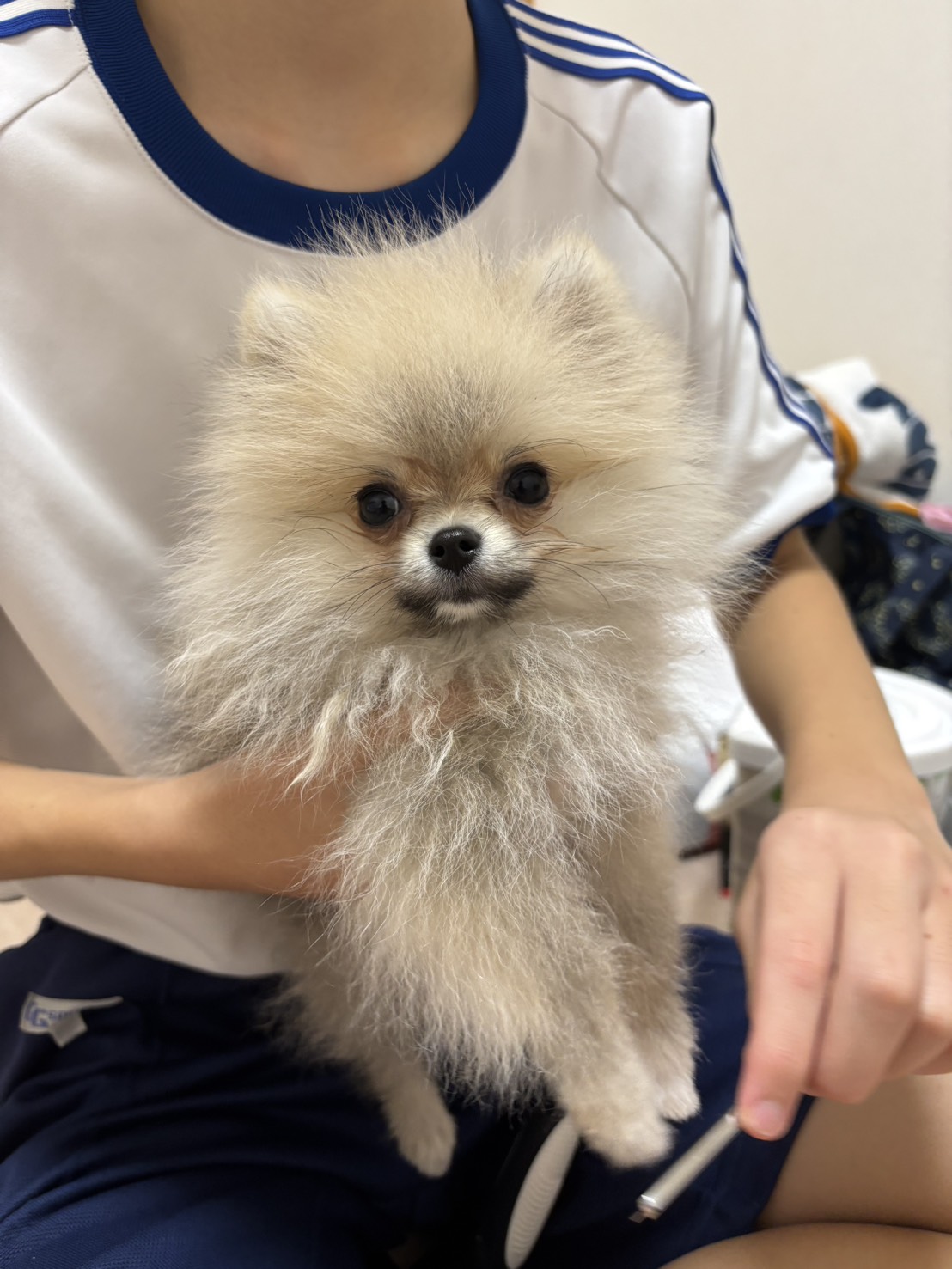 神谷さん、藤森さんのご対応を含め、ヒバリさんからお迎え出来…