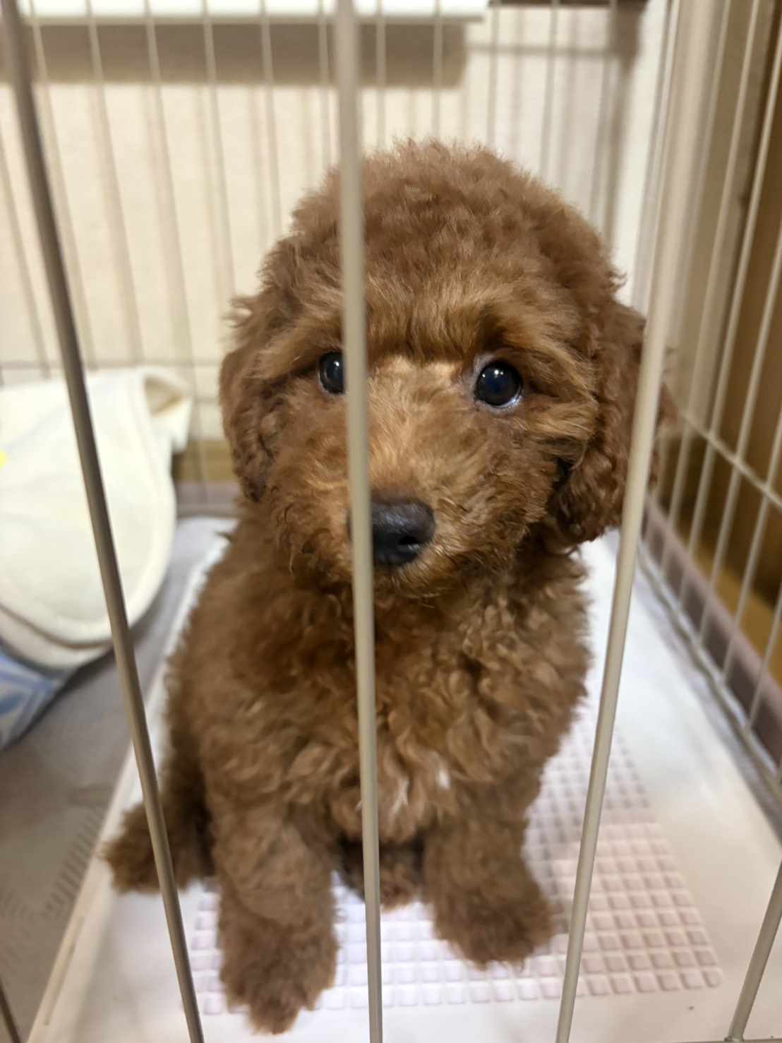 毎日癒されています😍🩷