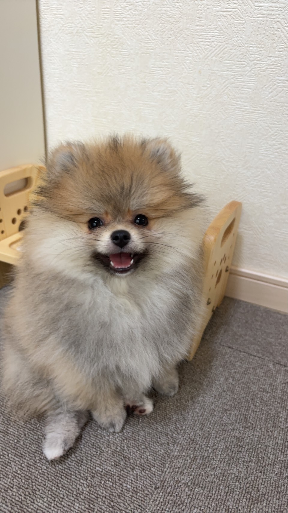 元気にすくすく育ってます😊
