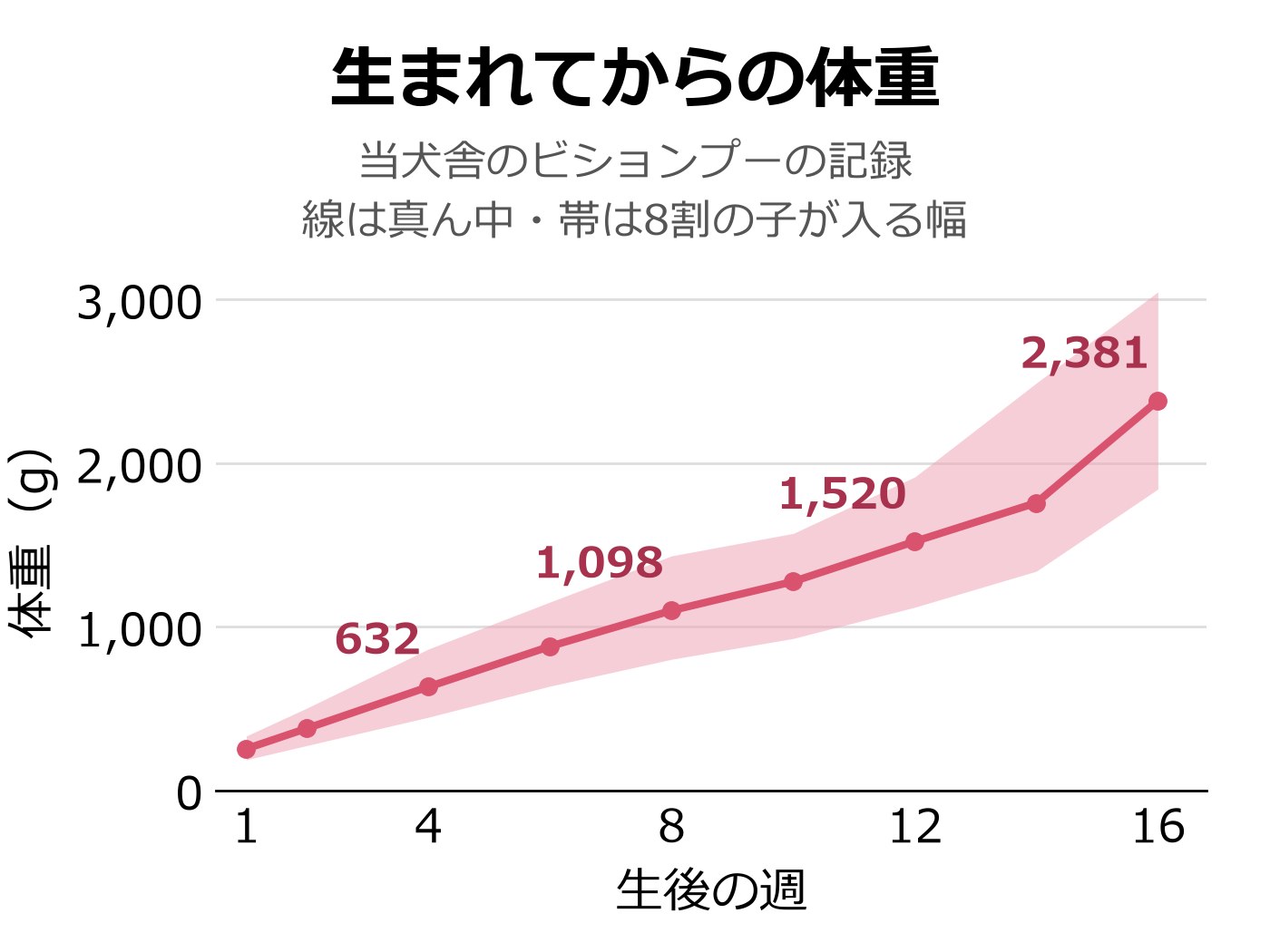 当犬舎のビションプーの、生後1週から16週までの体重の真ん中の線と、8割の子が入る幅の帯を示したグラフ