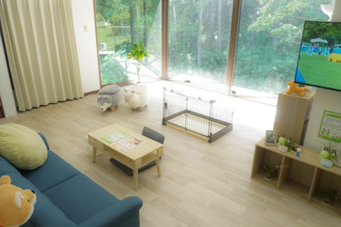 窓から光が入る明るい部屋に、小さなサークルとローテーブル、青いソファがある、当犬舎の施設の部屋の写真