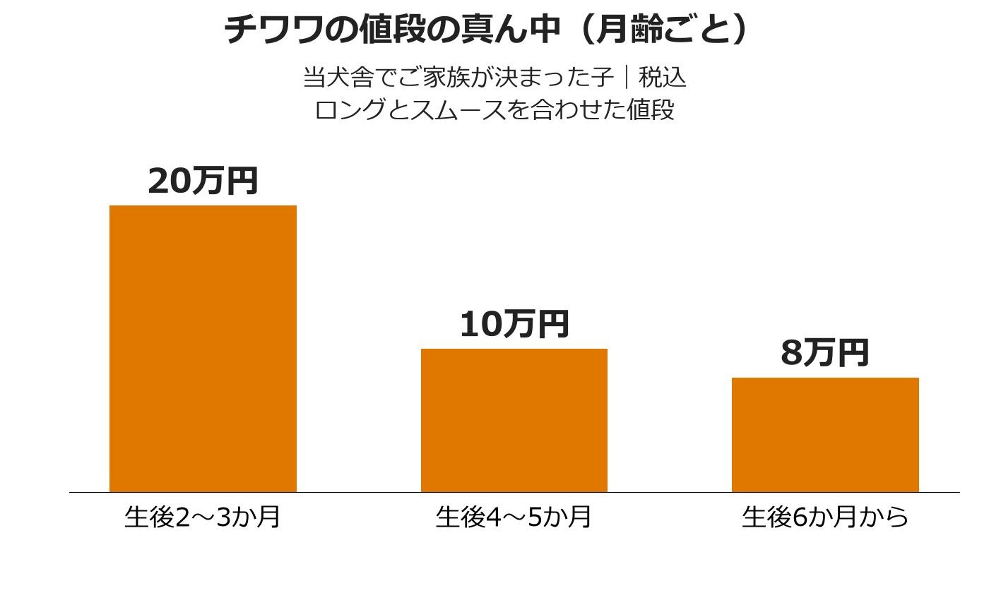 当犬舎でご家族が決まったチワワの値段の真ん中を月齢ごとに比べた棒グラフ。生後2〜3か月が20万円、4〜5か月が10万円、6か月からが8万円