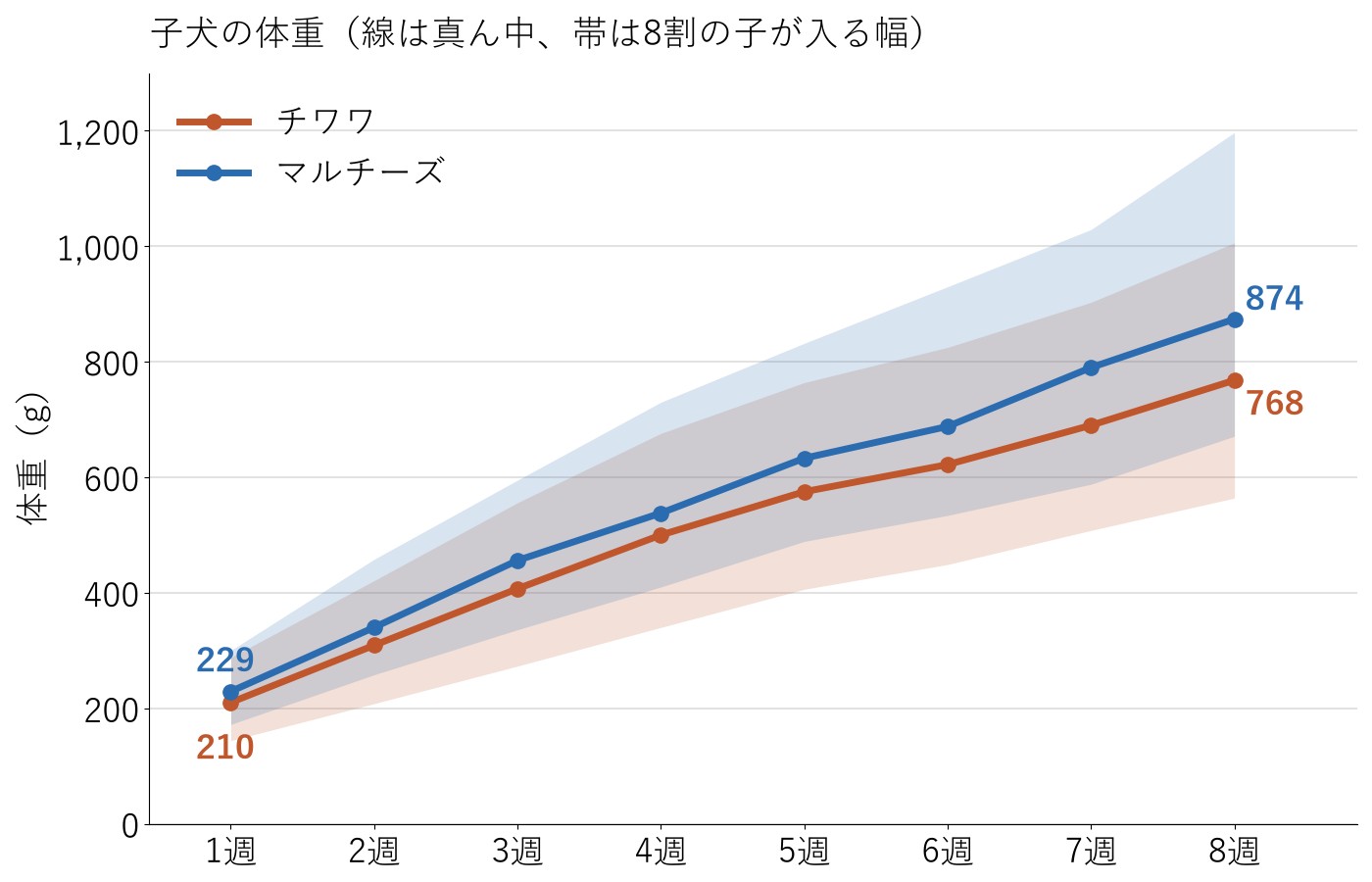 チワワとマルチーズの子犬の週ごとの体重を、真ん中の線と8割の子が入る幅の帯で並べた折れ線グラフ。マルチーズの線が少し上で、2つの帯は大きく重なっている