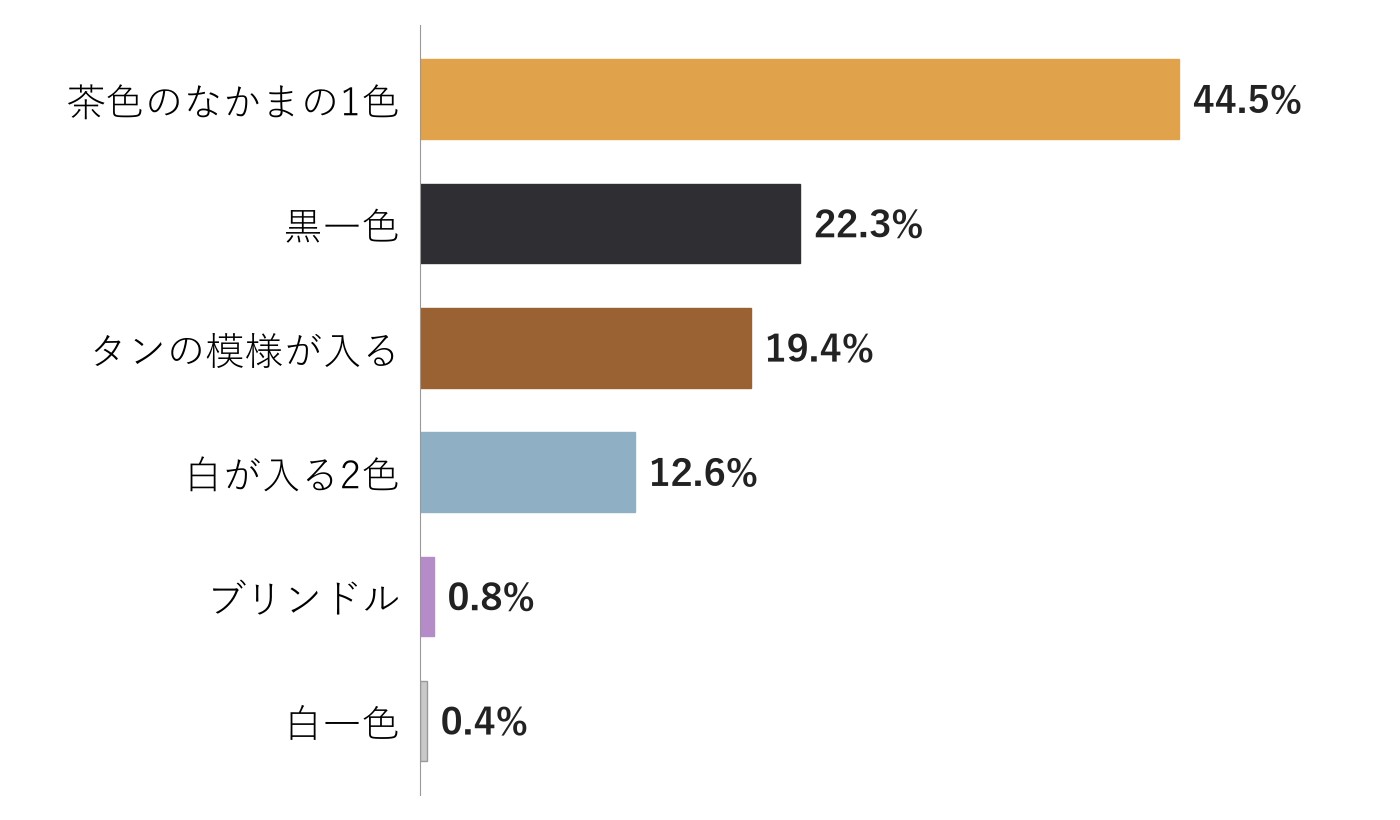 当犬舎でご家族が決まったチワプーの毛色を、茶色のなかまの1色44.5%、黒一色22.3%、タンの模様が入る19.4%などに分けて割合を並べた横棒グラフ