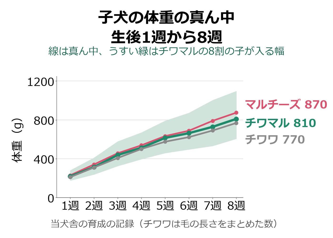 チワワ、チワマル、マルチーズの子犬の、生後1週から8週までの体重の真ん中を3本の線で比べた折れ線グラフ。チワマルの線はどの週もほかの2本の間にある