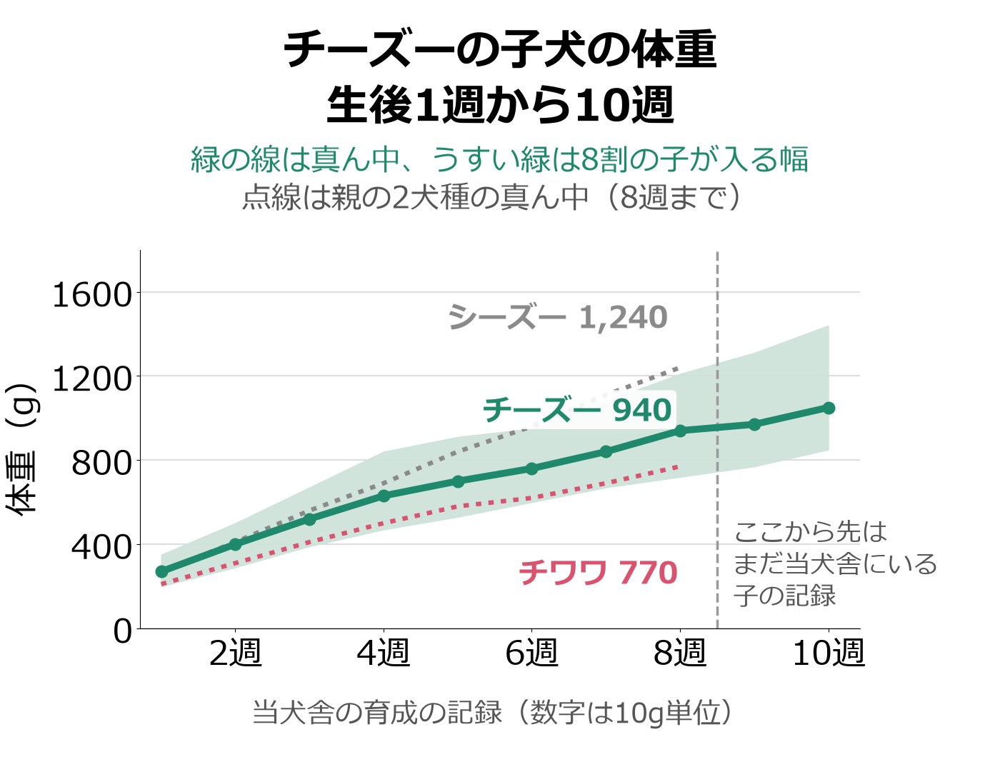 チーズーの子犬の生後1週から10週までの体重を、真ん中の線と8割の子が入る幅の帯で示し、チワワとシーズーの真ん中の点線を8週まで重ねた折れ線グラフ