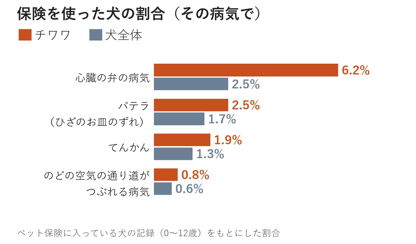 チワワと犬全体を比べた横棒グラフ。心臓の弁の病気は6.2%と2.5%、パテラは2.5%と1.7%、てんかんは1.9%と1.3%、のどの病気は0.8%と0.6%