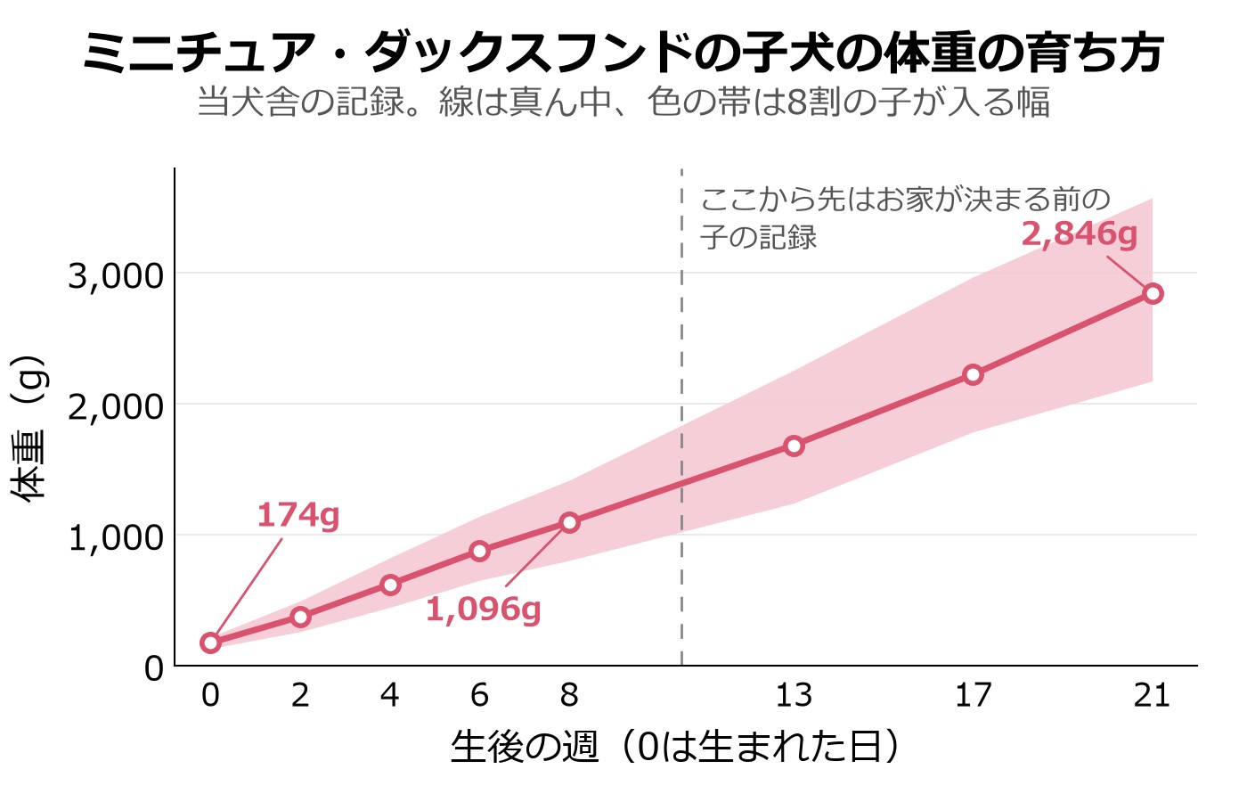 ミニチュア・ダックスフンドの子犬の体重の真ん中の線と、8割の子が入る幅の帯。生まれた日174g、生後8週1,096g、生後21週2,846g