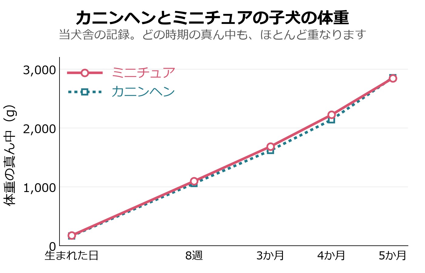 カニンヘンとミニチュアの子犬の体重の真ん中を2本の線で重ねた線グラフ。2本の線はほとんど重なっている
