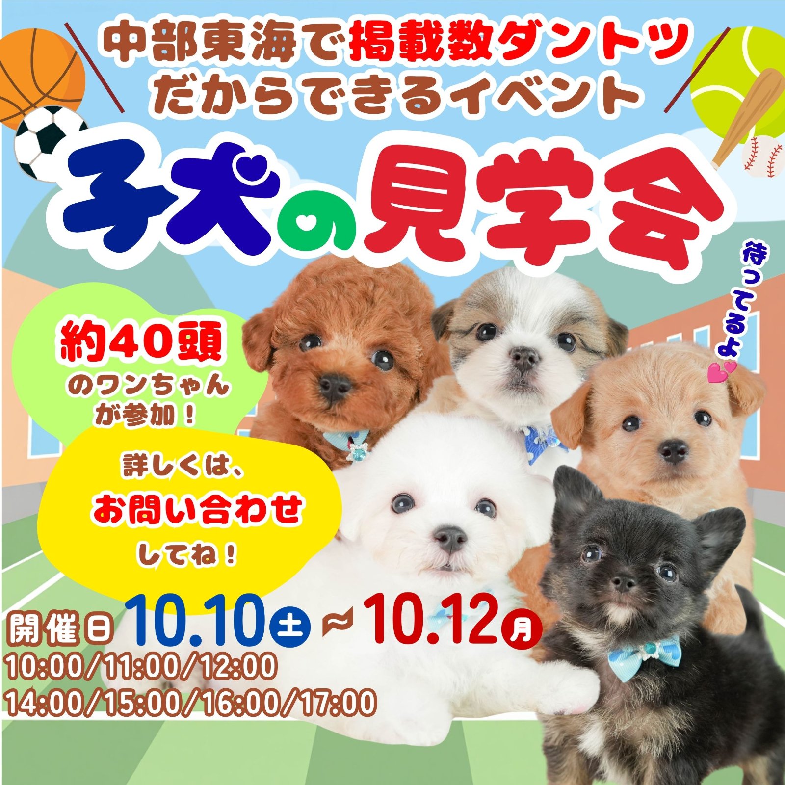 🫧約40頭の子犬ちゃんたちが大集合🍼10月10日～12日開催📣こいぬの見学会🐶❣️