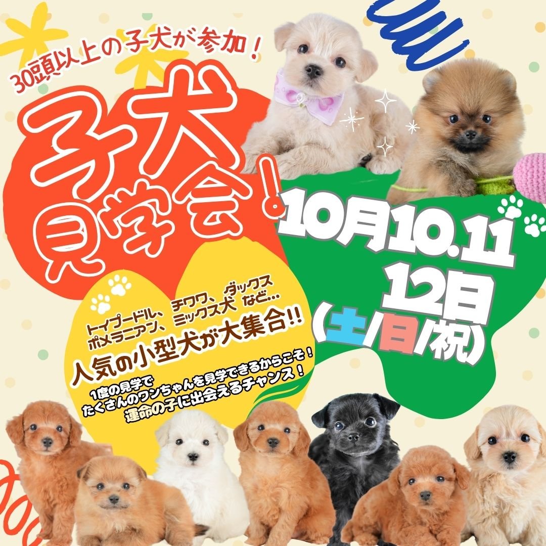 10/10.11.12🐶わくわくこいぬ見学会🍂