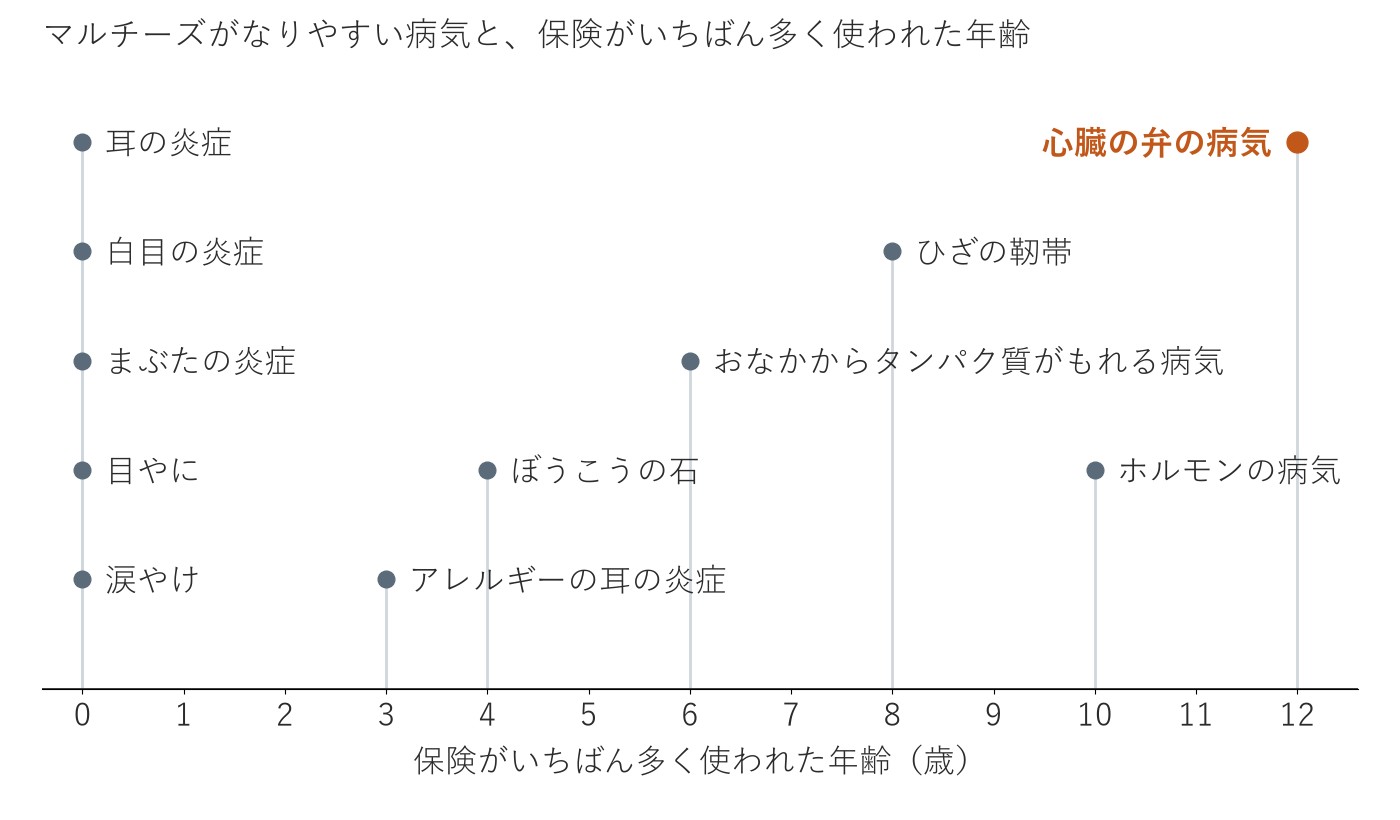 マルチーズのなりやすい病気を、保険がいちばん多く使われた年齢の線に並べた図。涙やけや耳の炎症は0歳、ひざの靭帯は8歳、心臓の弁の病気は12歳