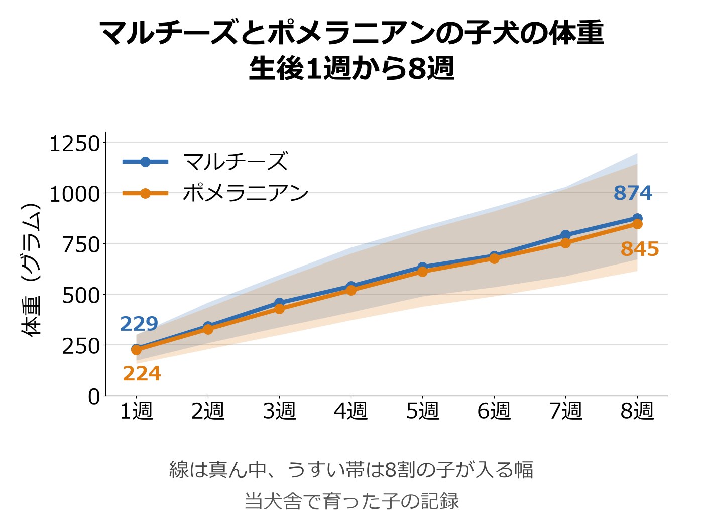 マルチーズとポメラニアンの子犬の週ごとの体重を、真ん中の線と8割の子が入る幅の帯で並べた折れ線グラフ。2つの線も帯も大きく重なっている