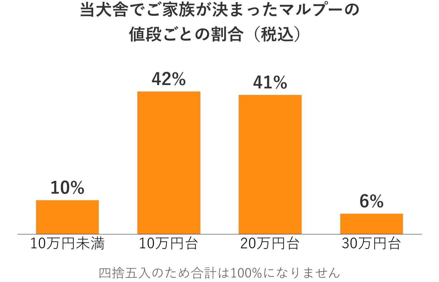 当犬舎でご家族が決まったマルプーの値段ごとの割合の棒グラフ。10万円未満10%、10万円台42%、20万円台41%、30万円台6%
