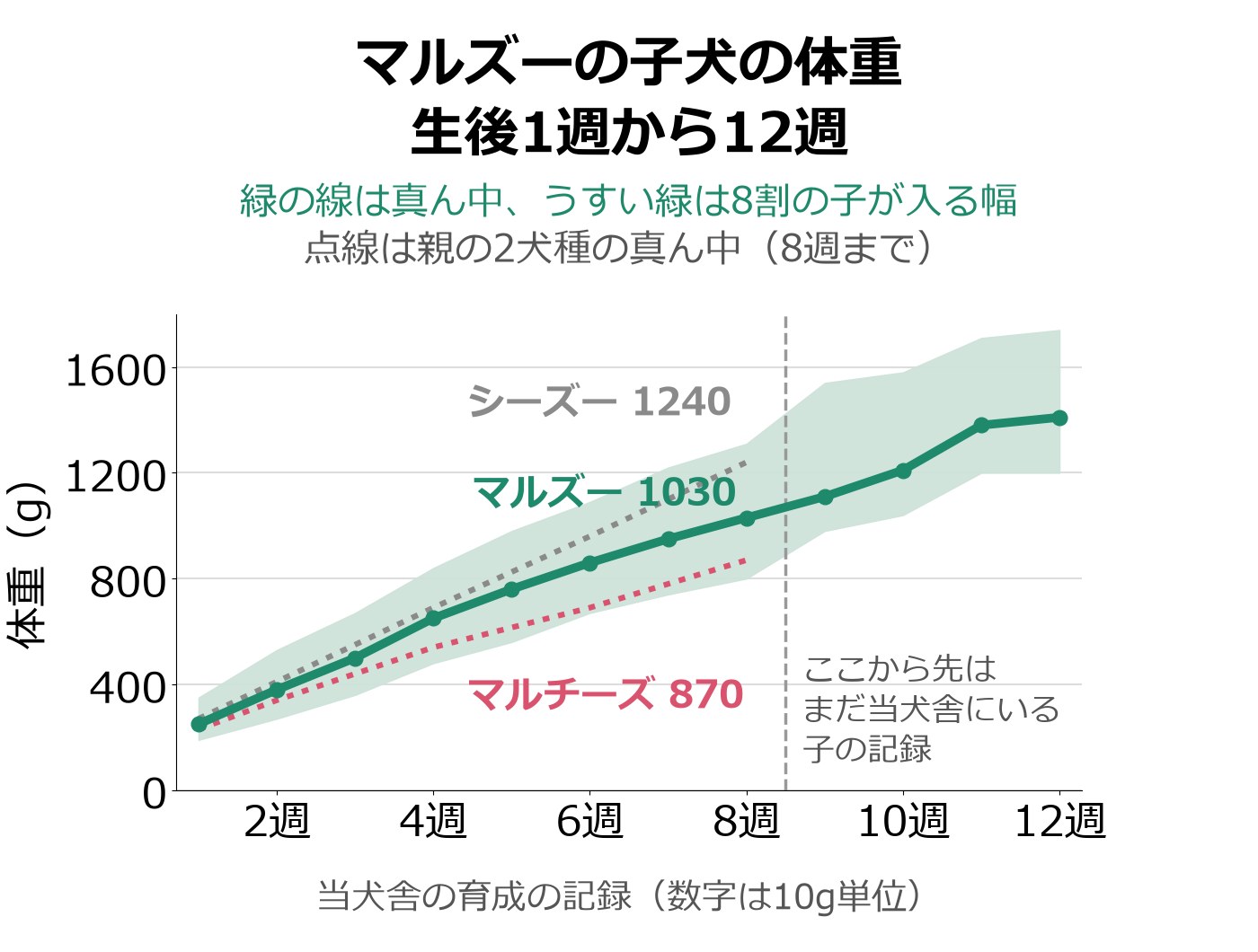 マルズーの子犬の生後1週から12週までの体重を、真ん中の線と8割の子が入る幅の帯で示し、マルチーズとシーズーの真ん中の点線を8週まで重ねた折れ線グラフ
