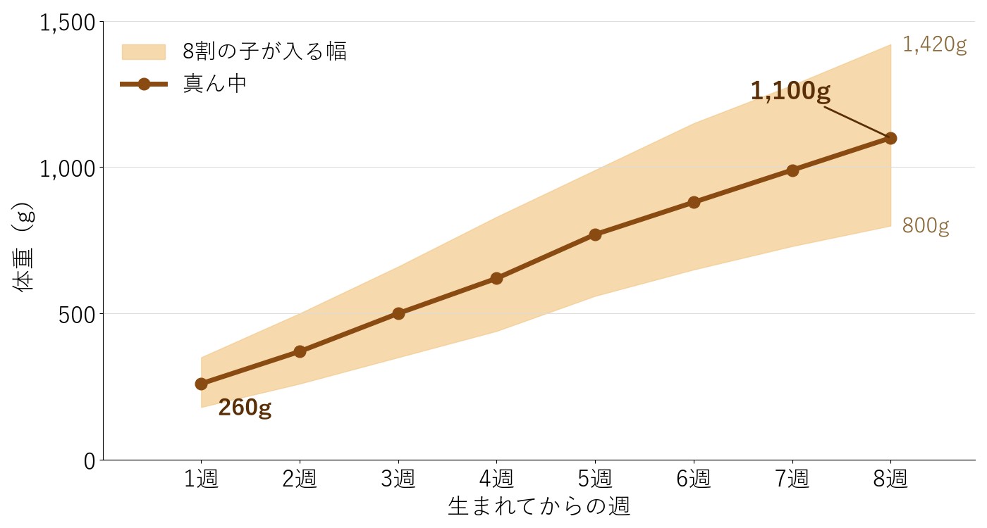 当犬舎で育ったミニチュア・ダックスフンドの、生後1週から8週までの体重の真ん中と8割の子が入る幅の折れ線グラフ