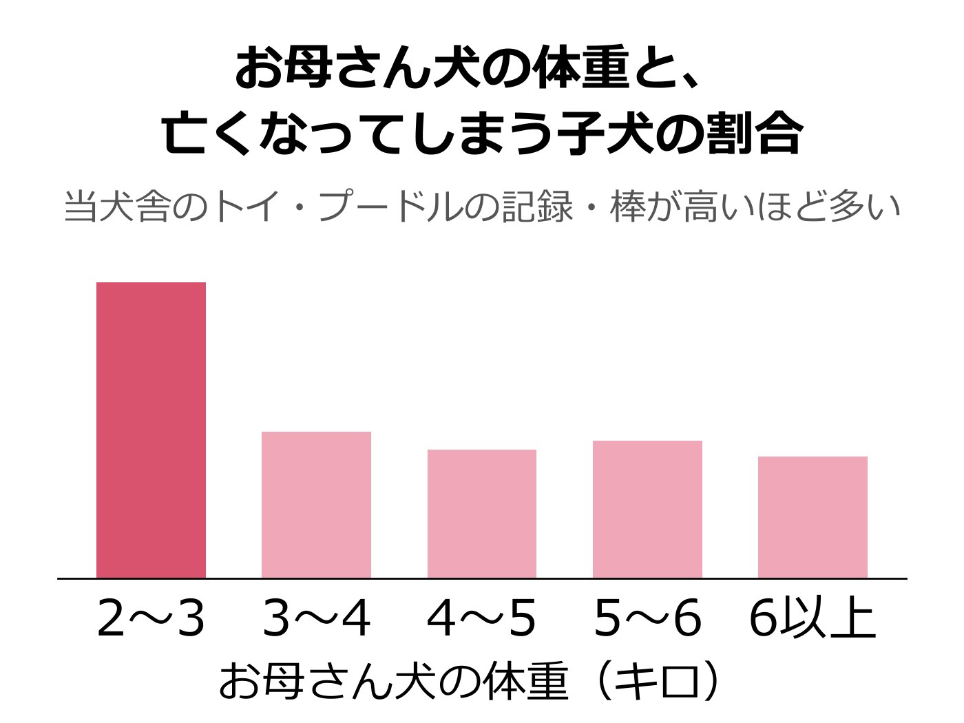 お母さん犬の体重ごとに、亡くなってしまう子犬の割合を比べた棒グラフ。2〜3キロのお母さんの棒だけが高く、3キロ以上のお母さんの棒はおよそ半分の高さで並んでいる