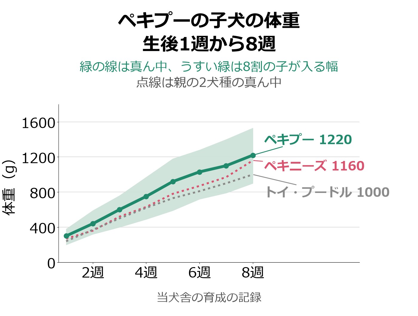 ペキプーの子犬の生後1週から8週までの体重を、真ん中の線と8割の子が入る幅の帯で示し、ペキニーズとトイ・プードルの真ん中の点線を重ねた折れ線グラフ