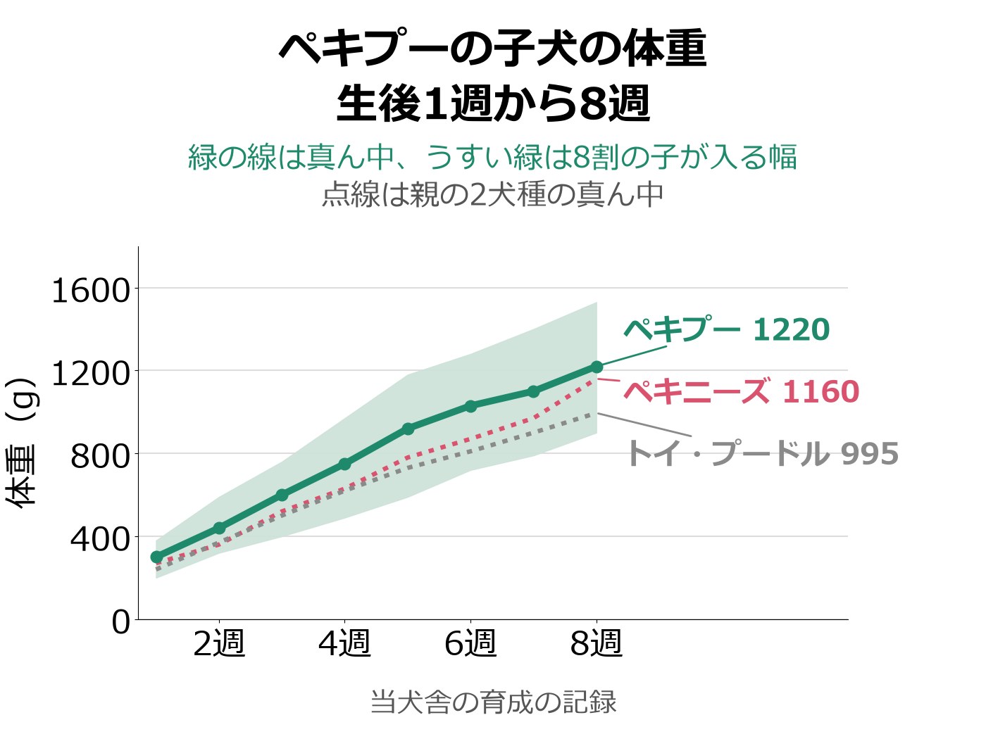 ペキプーの子犬の生後1週から8週までの体重を、真ん中の線と8割の子が入る幅の帯で示し、ペキニーズとトイ・プードルの真ん中の点線を重ねた折れ線グラフ