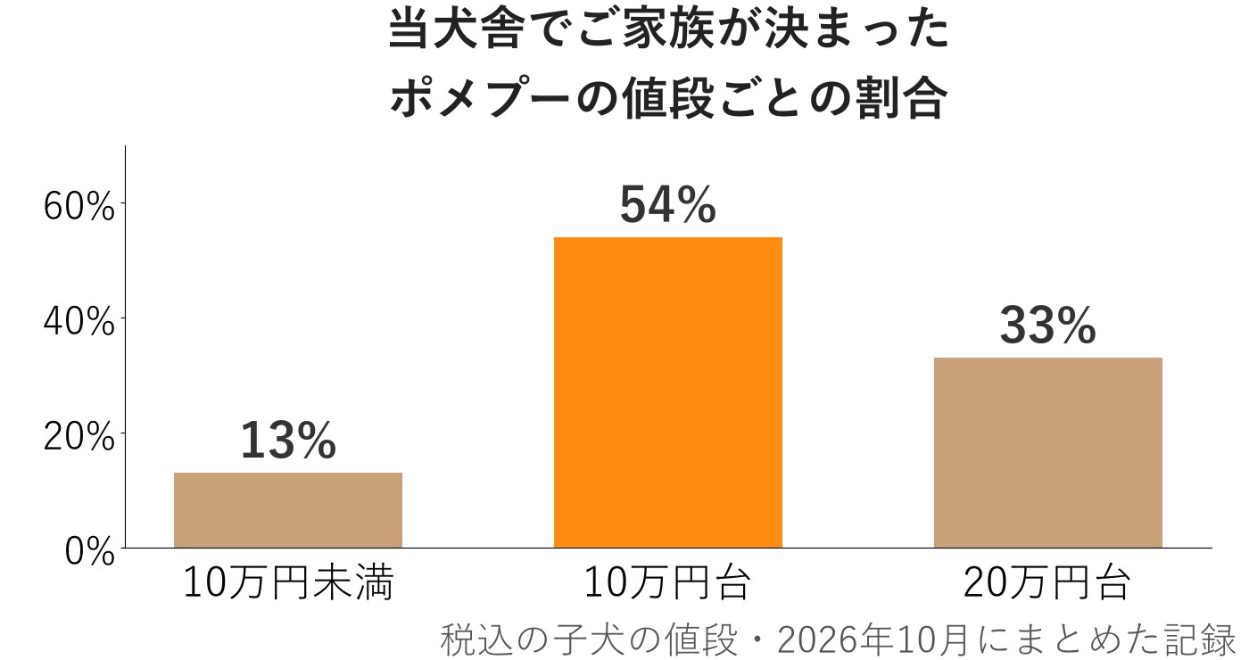 当犬舎でご家族が決まったポメプーの値段ごとの割合を示した棒グラフ。10万円未満が13%、10万円台が54%、20万円台が33%