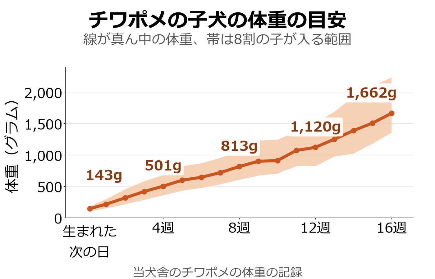 チワポメの子犬の体重の真ん中の線と、8割の子が入る帯のグラフ。生まれた次の日143g、4週501g、8週813g、12週1,120g、16週1,662g