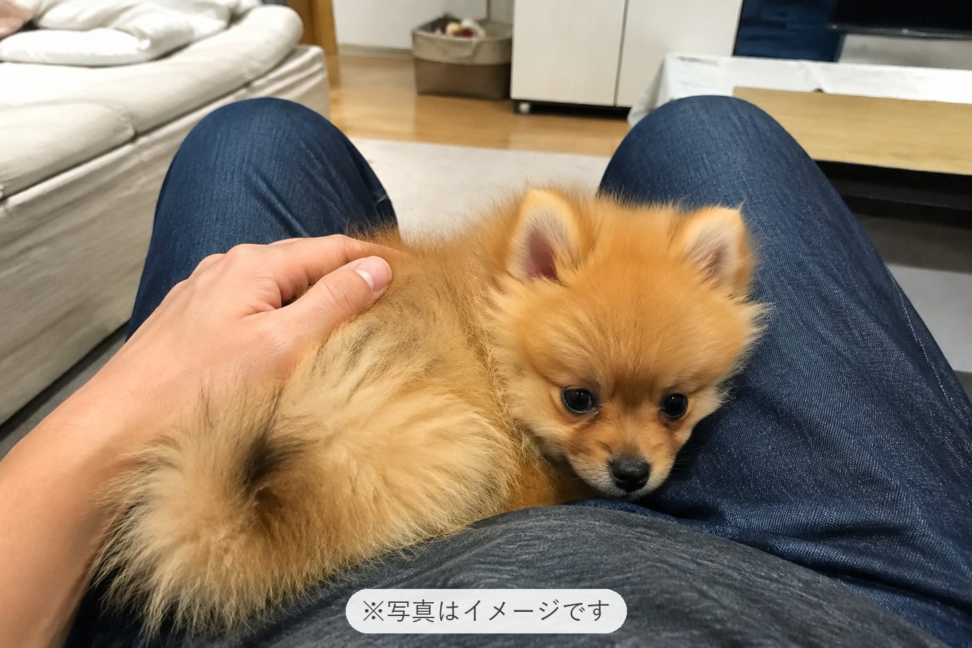 毎日可愛くて癒されています