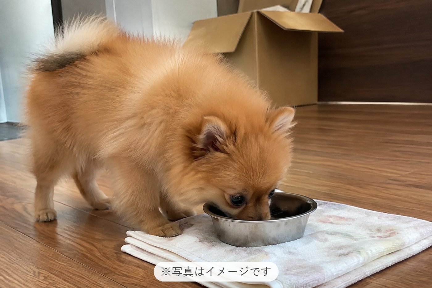 毎日家族の主役になってます