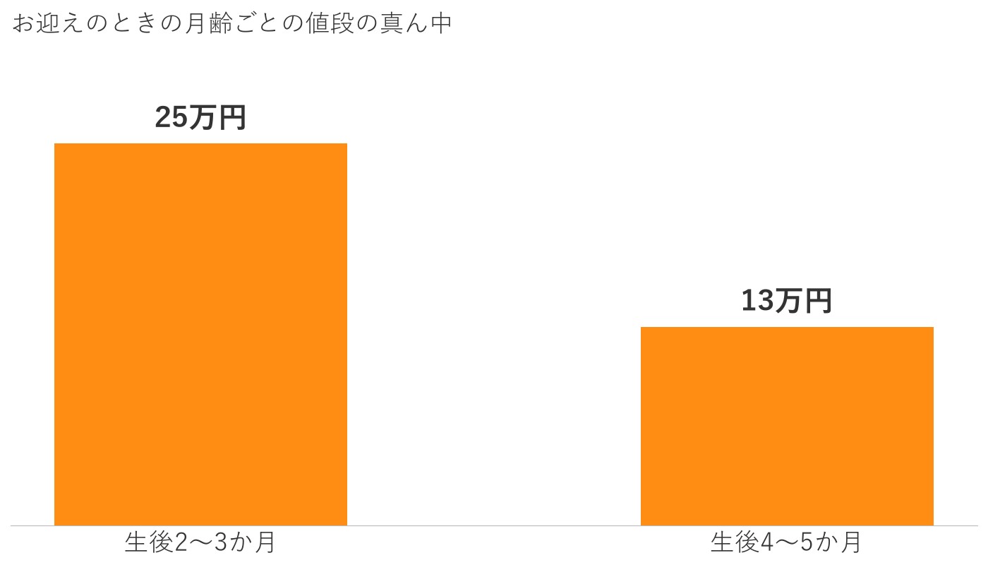 当犬舎でご家族が決まったポメラニアンの月齢ごとの値段の真ん中を比べた棒グラフ。生後2〜3か月が25万円、生後4〜5か月が13万円