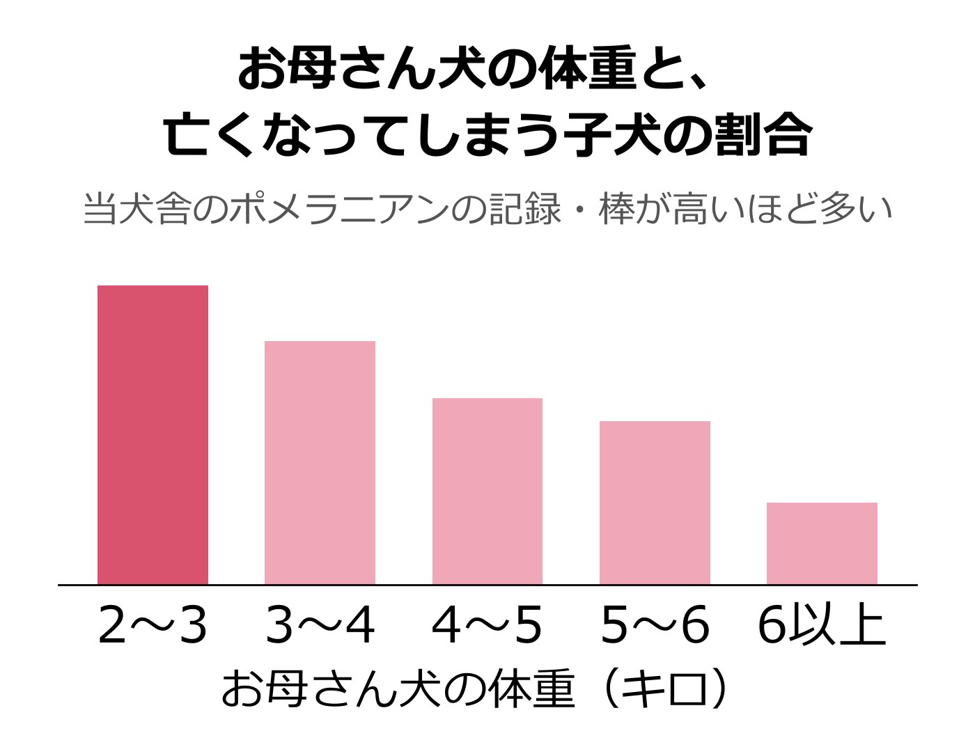 お母さん犬の体重ごとに、亡くなってしまう子犬の割合を比べた棒グラフ。2〜3キロのお母さんの棒がいちばん高く、お母さんの体重が重くなるほど棒が低くなっている