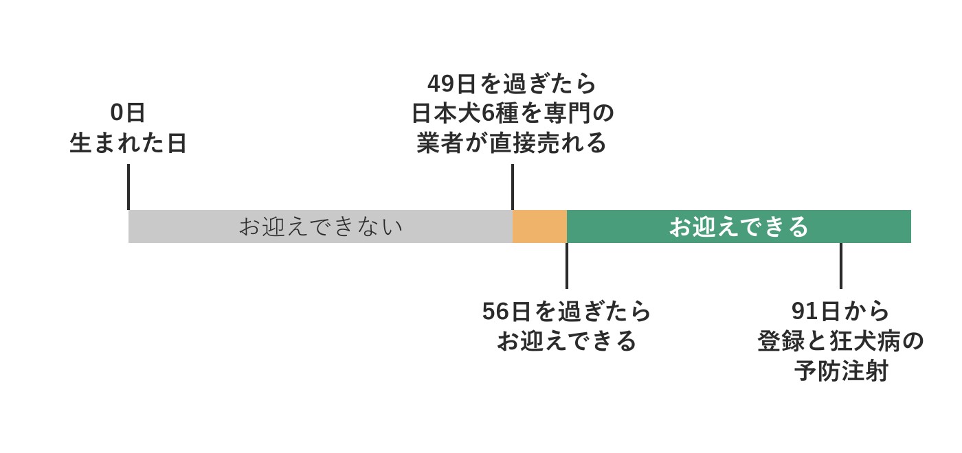 日数の線の図。0日は生まれた日、49日を過ぎたら日本犬6種を専門の業者が直接売れる、56日を過ぎたらお迎えできる、91日から登録と狂犬病の予防注射
