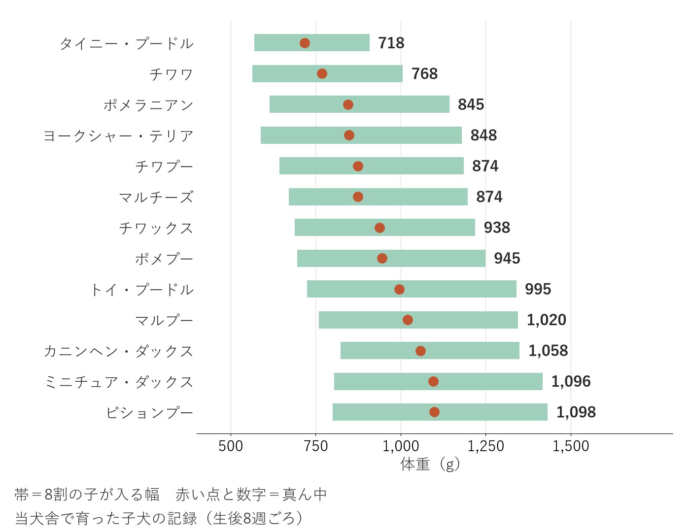 13の犬種の生後8週ごろの体重を、8割の子が入る幅の帯と真ん中の点で並べたグラフ。真ん中はタイニー・プードルの718gからビションプーの1,098gまで