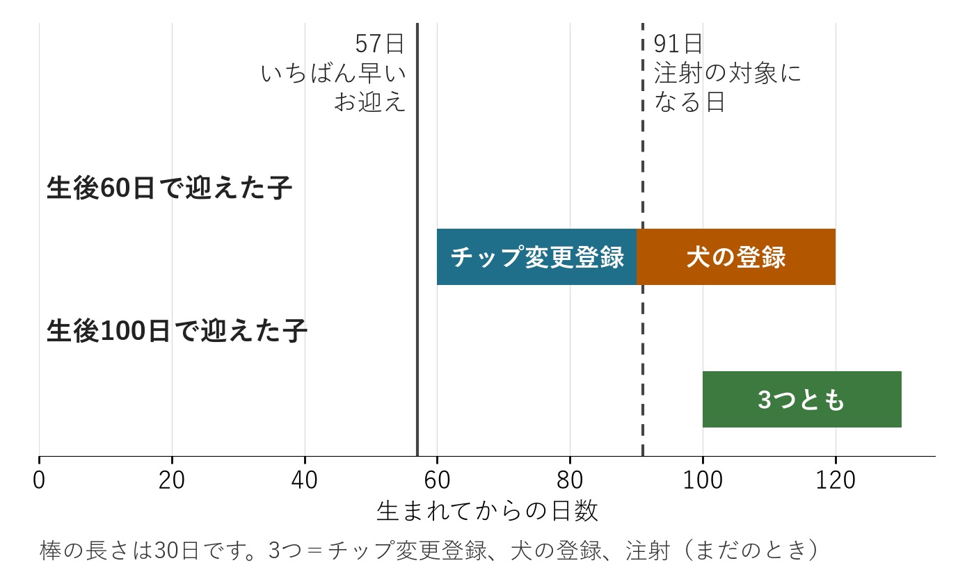 生後日数の線の上に、迎えた日から30日の手続きの期間を2つの例で示した図。57日がいちばん早いお迎え、91日が狂犬病の予防注射の対象になる日齢