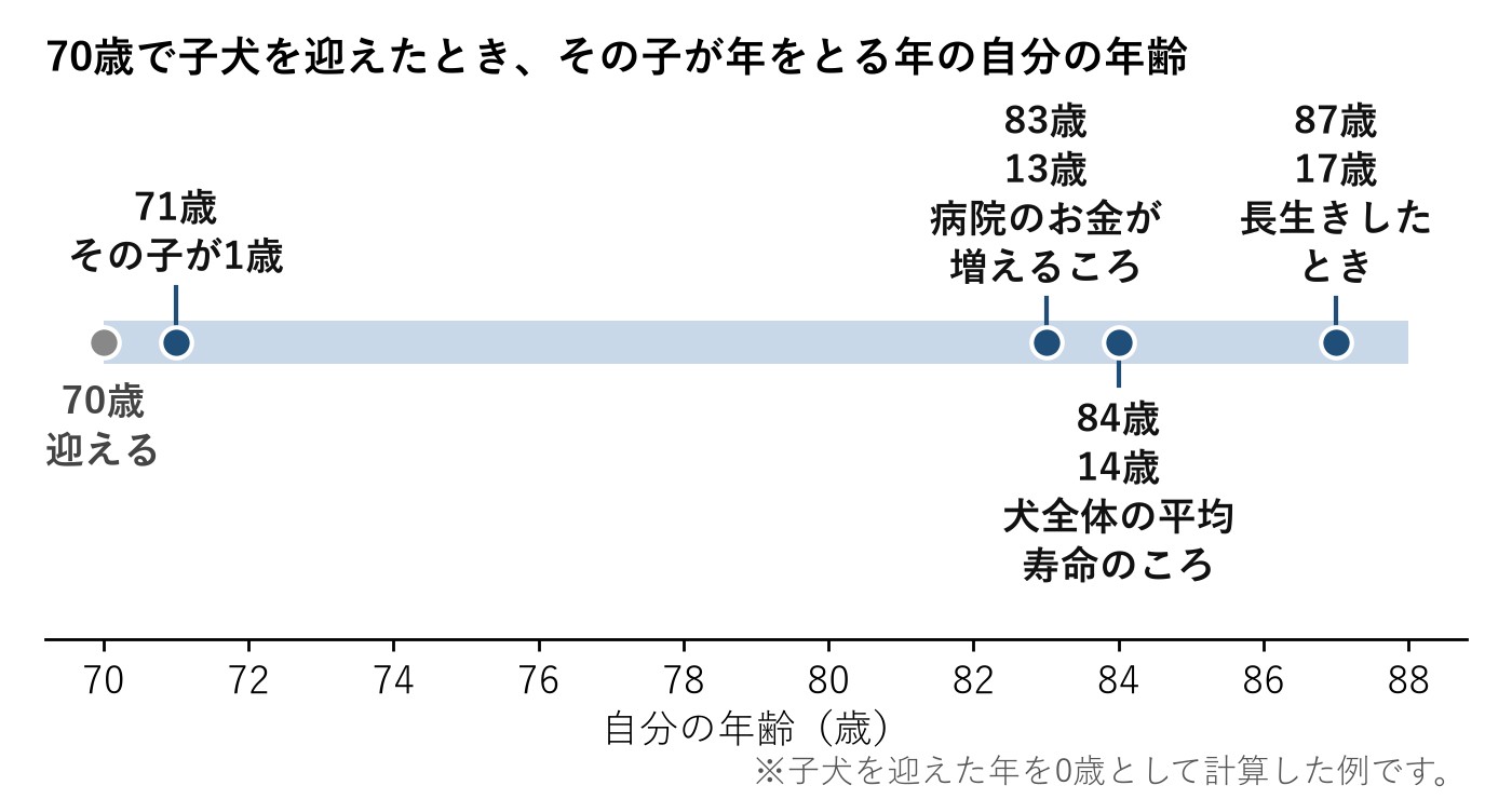 70歳で子犬を迎えたとき、その子が1歳、13歳、14歳、17歳になる年の自分の年齢を、71歳、83歳、84歳、87歳と示した帯のグラフ