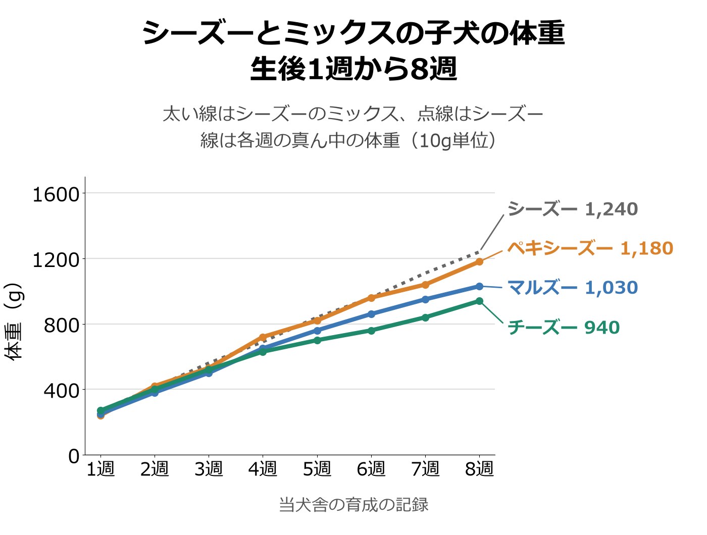 シーズーと3組のミックスの子犬の生後1週から8週までの体重の真ん中を並べた折れ線グラフ。8週はシーズー1,240g、ペキシーズー1,180g、マルズー1,030g、チーズー940g