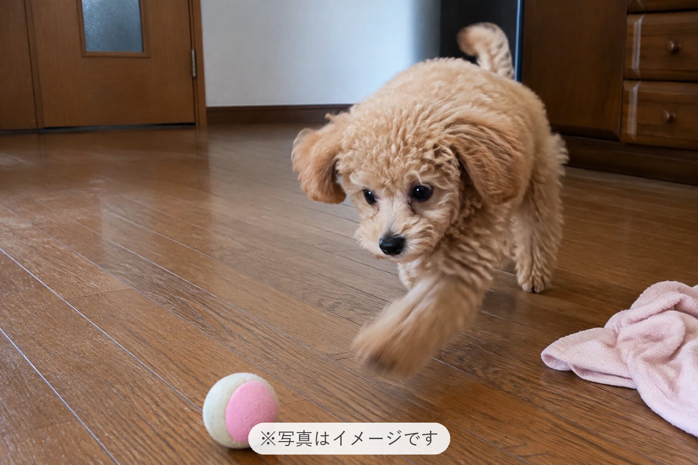 丁寧にご対応いただきありがとうございました