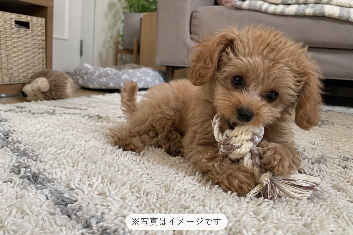 毎日楽しいです