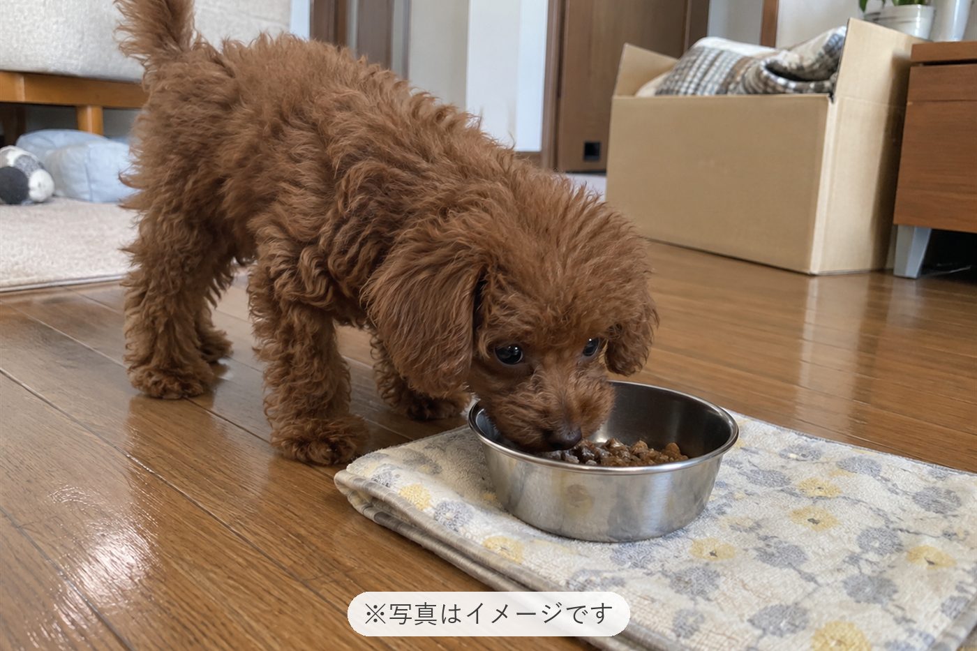 お迎えして半日で名前を認識
