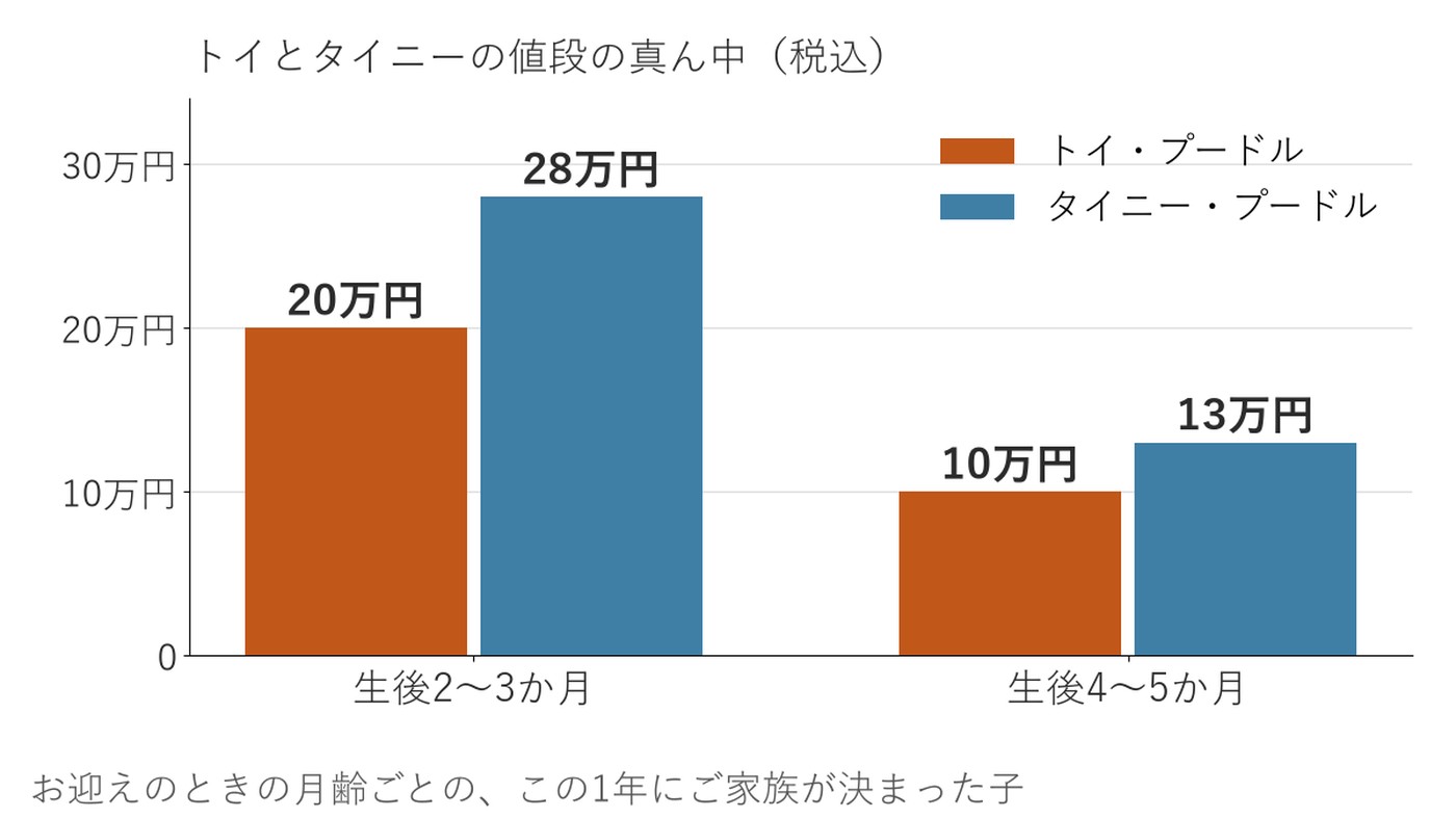 トイ・プードルとタイニー・プードルの値段の真ん中を、生後2〜3か月と4〜5か月で並べた棒グラフ。2〜3か月は20万円と28万円、4〜5か月は10万円と13万円