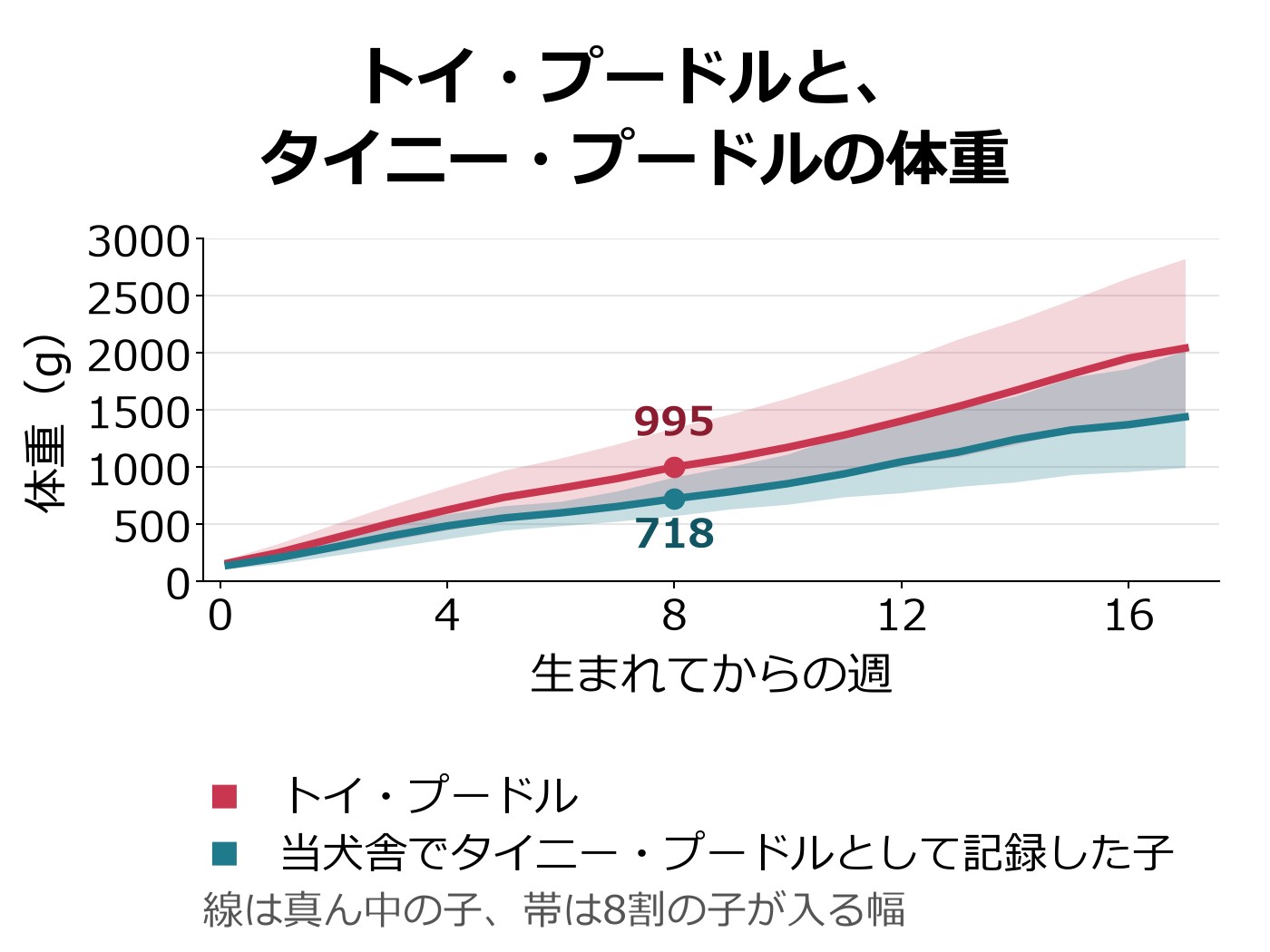 トイ・プードルと、当犬舎でタイニー・プードルとして記録した子の週ごとの体重を、真ん中の線と8割の子が入る幅の帯で比べた折れ線グラフ
