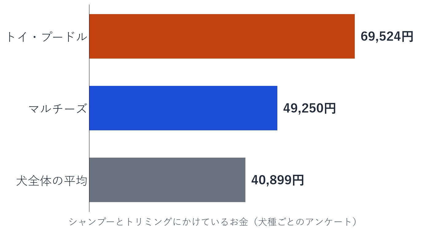 シャンプーとトリミングにかけているお金を、トイ・プードル69,524円、マルチーズ49,250円、犬全体の平均40,899円で並べた横向きの棒グラフ