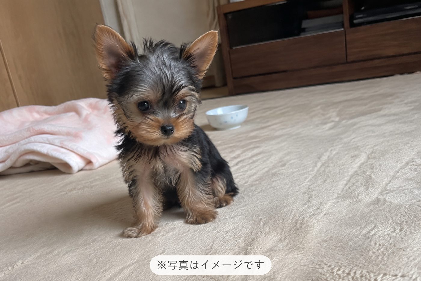 これから楽しみです