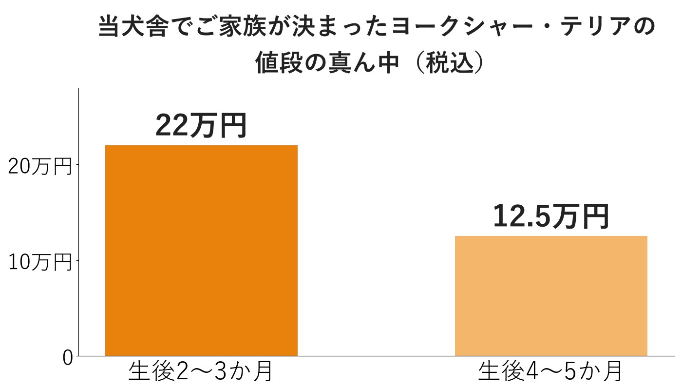 当犬舎のヨークシャー・テリアの値段の真ん中は、生後2〜3か月が22万円、生後4〜5か月が12.5万円の棒グラフ