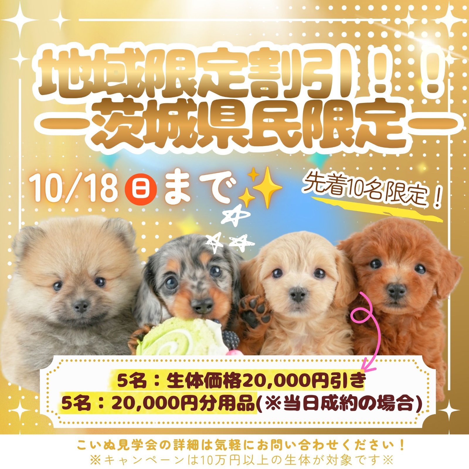 10/18まで10名様限定特別キャンペーン開催中✨